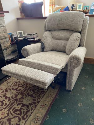 Petite Mocha Dorchester Rise and Recline Chair