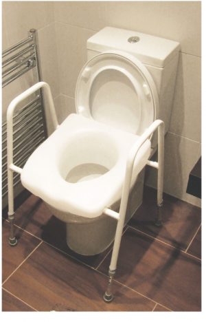 Adjustable height toilet seat and hand holds