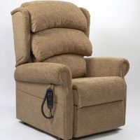 Reclining chair with controller brown